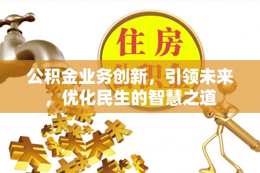 大洼公积金业务创新，引领未来，优化民生的智慧之道
