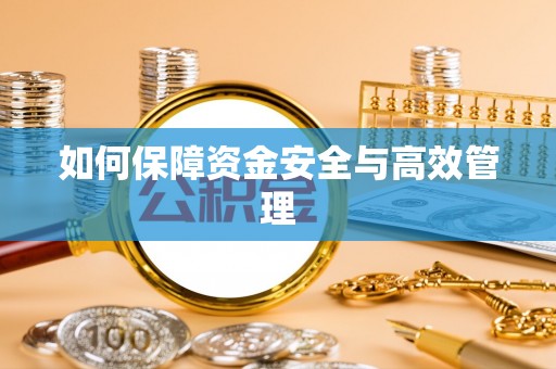 大洼如何保障资金安全与高效管理