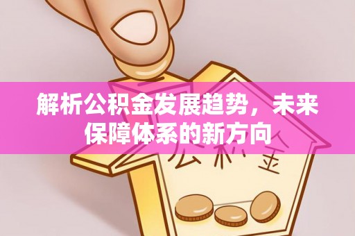 大洼解析公积金发展趋势，未来保障体系的新方向