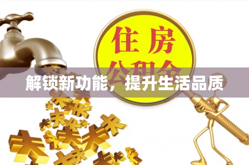 大洼解锁新功能，提升生活品质