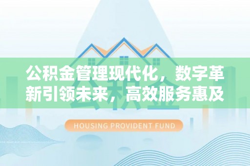 大洼公积金管理现代化，数字革新引领未来，高效服务惠及民生