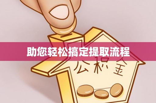大洼助您轻松搞定提取流程