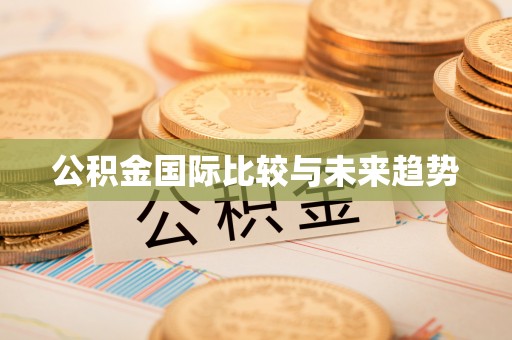 大洼公积金国际比较与未来趋势