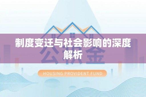 大洼制度变迁与社会影响的深度解析