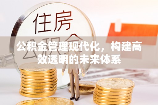 大洼公积金管理现代化，构建高效透明的未来体系