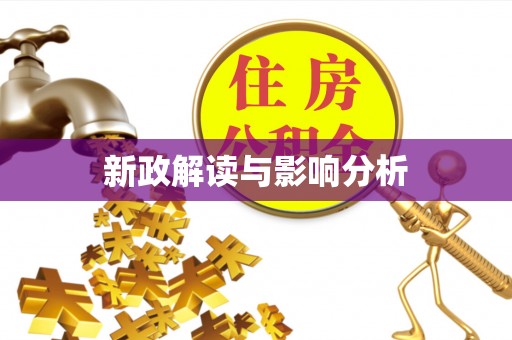 大洼新政解读与影响分析