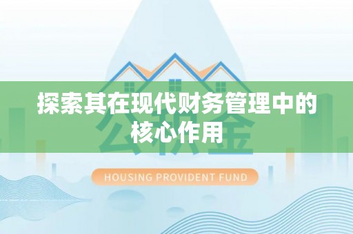 大洼探索其在现代财务管理中的核心作用