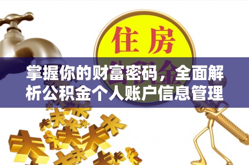 大洼掌握你的财富密码，全面解析公积金个人账户信息管理