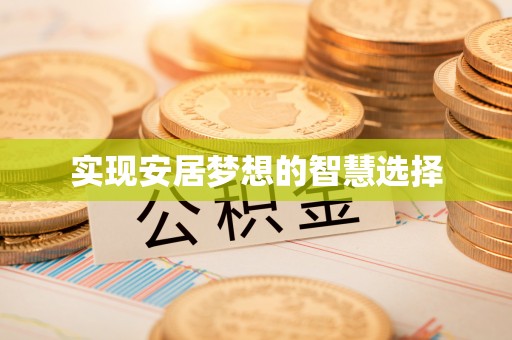 大洼实现安居梦想的智慧选择