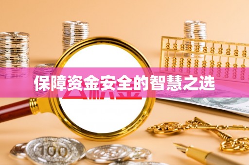 大洼保障资金安全的智慧之选