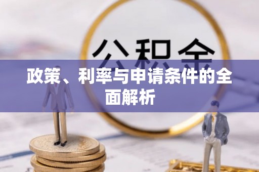 大洼政策、利率与申请条件的全面解析