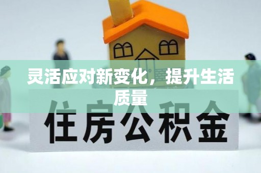 大洼灵活应对新变化，提升生活质量