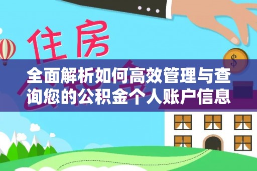 大洼全面解析如何高效管理与查询您的公积金个人账户信息