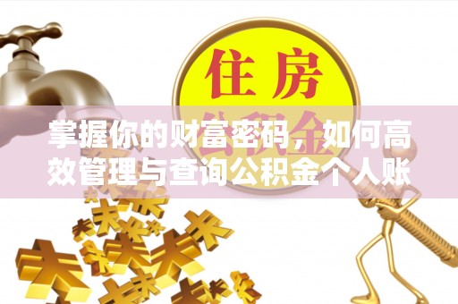 大洼掌握你的财富密码，如何高效管理与查询公积金个人账户信息