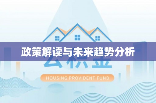大洼政策解读与未来趋势分析