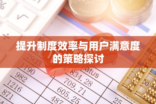 大洼提升制度效率与用户满意度的策略探讨
